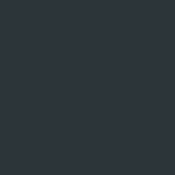 Gris pistola (#2C3539)