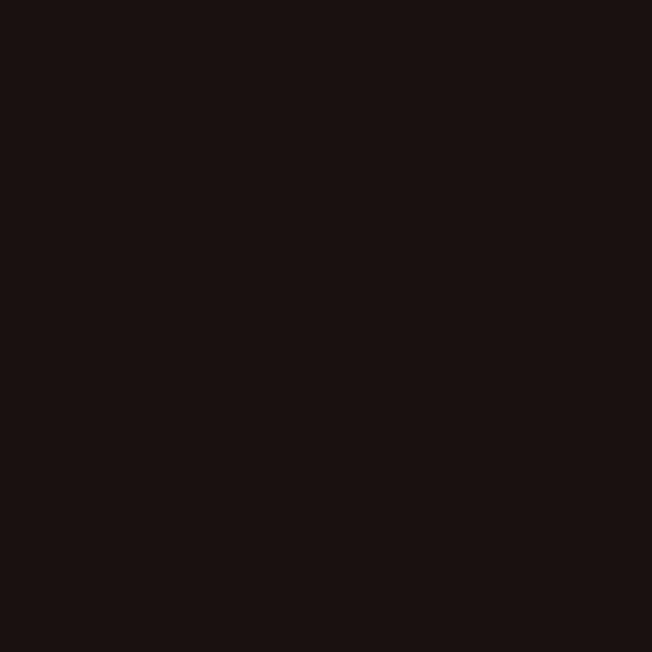 Color regaliz (#1A1110)
