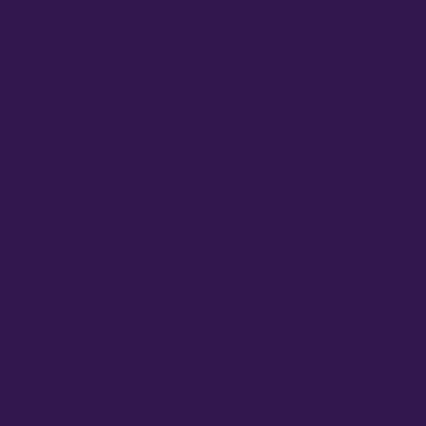 Violeta rusa (#32174D)