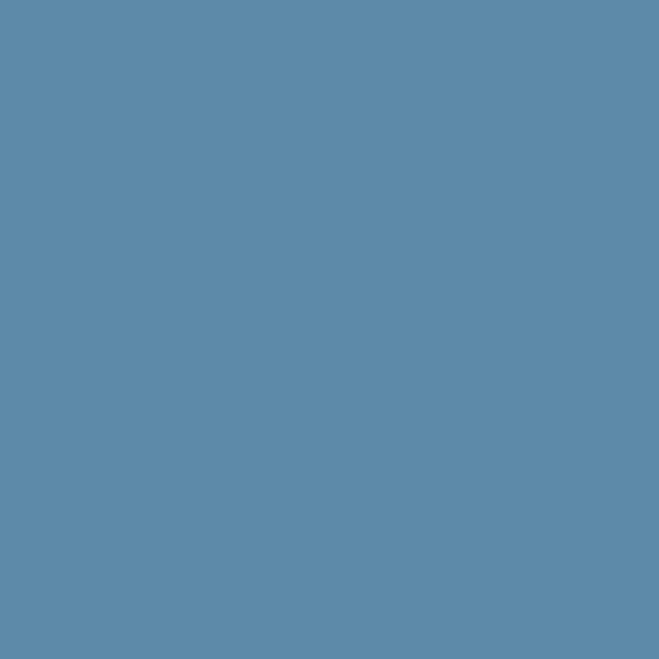Color azul de la Fuerza Aérea (#5D8AA8)