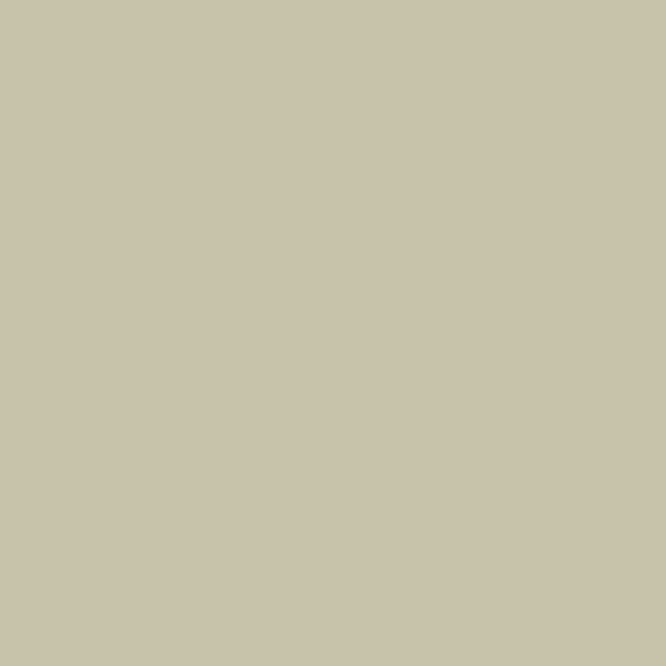 Akaroa (#C6C3A9)
