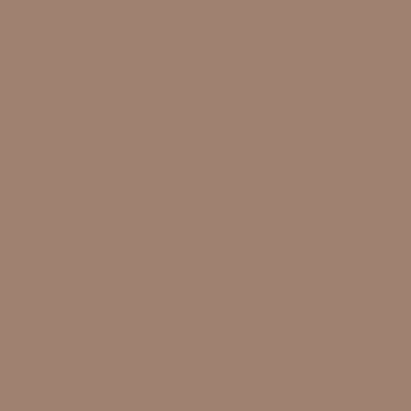 Castor (#9F8170)