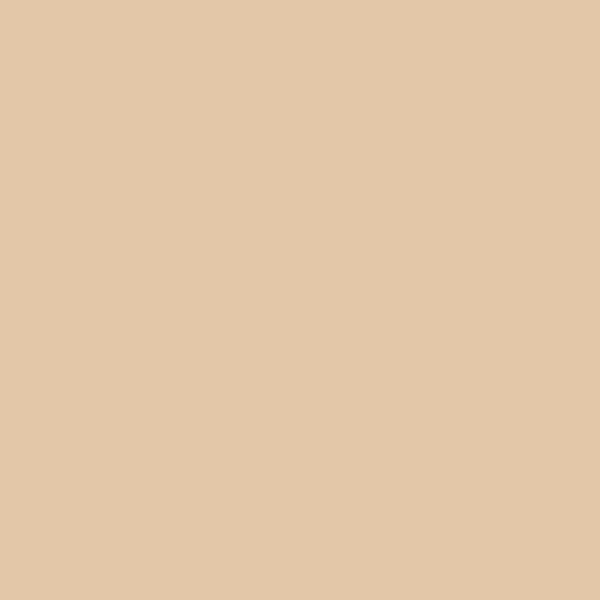 Biscotti (#E3C7A8)