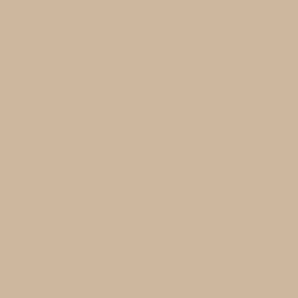 Bisque3 (#CDB79E)