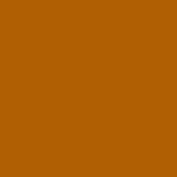 Naranja parduzco (#B05F03)