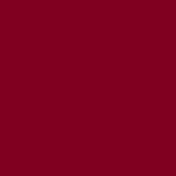 Color Borgoña (#800020)