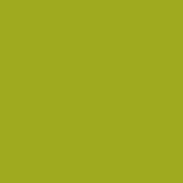 Color citron (#9FA91F)