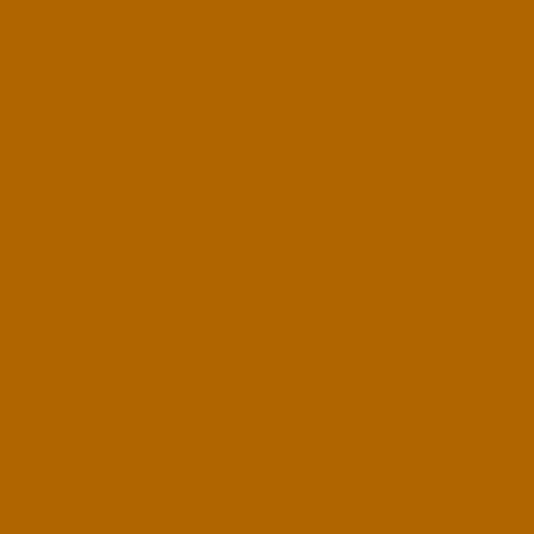 ジンジャー (#B06500)