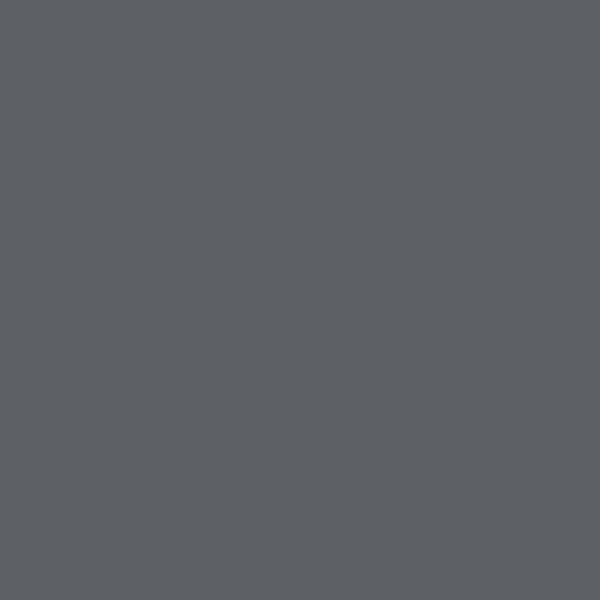 Gris oscuro (#5D6166)