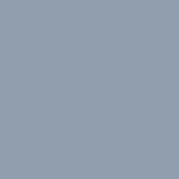 ピューター (#909EAE)