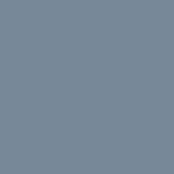 Gris pizarra (#778899)