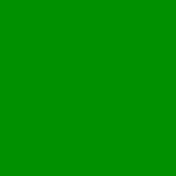伊斯兰绿 (#009000)