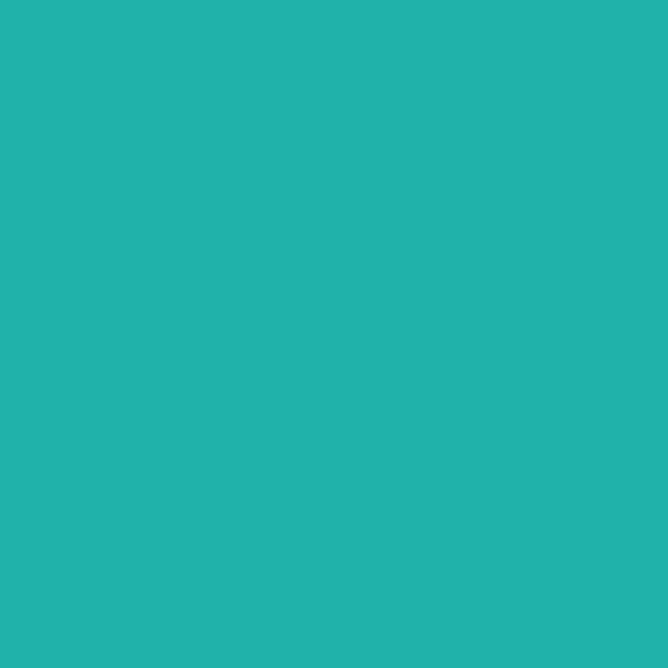 浅海绿色 (#20B2AA)