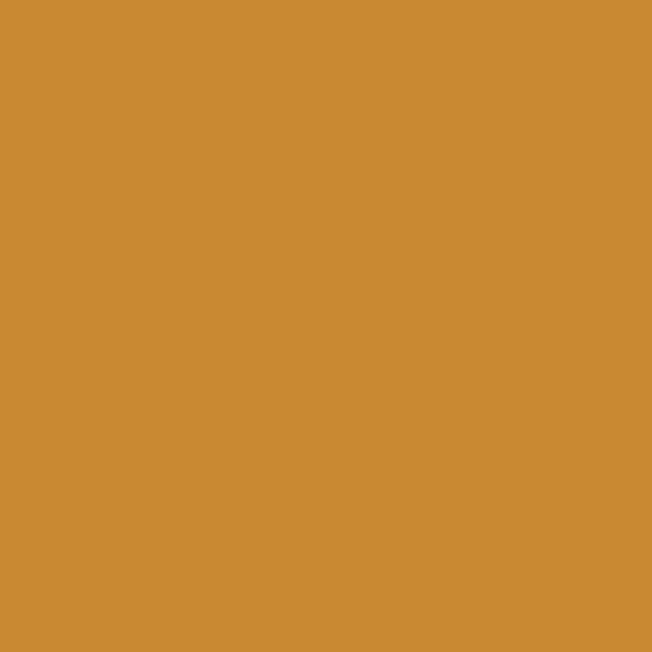 Color caramelo de mantequilla (#C98932)