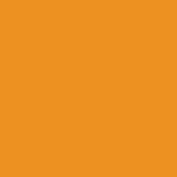 Naranja zanahoria (#ED9121)