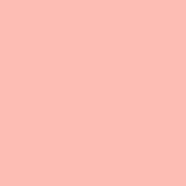 甜瓜色 (#FDBCB4)