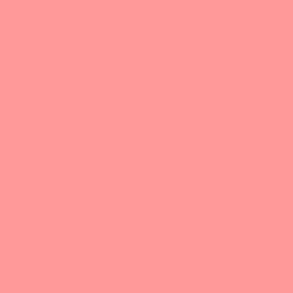 Salmon Color (#FF9999)