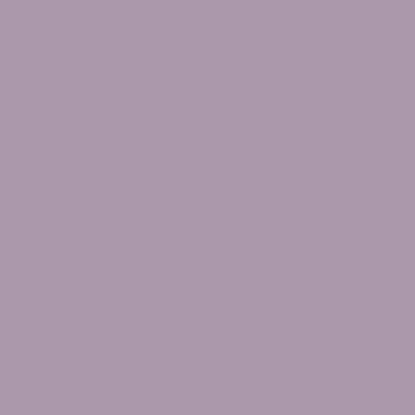 Rose Quartz (#AA98A9)