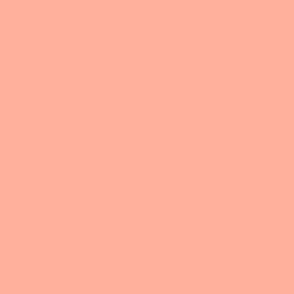 Light Red (#FFB09C)