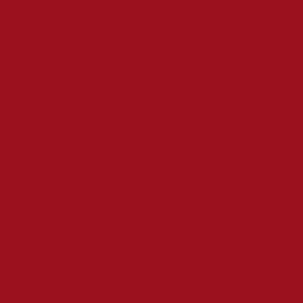 ルビーカラー (#9B111E)