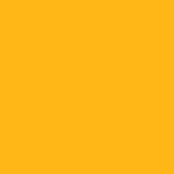 Cal Poly Pomona Gold (#FFB718)